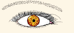 brown eyes